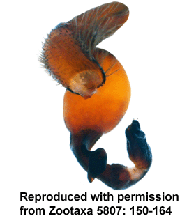 speciesimage