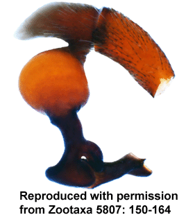 speciesimage