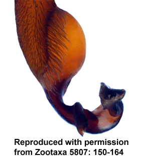 speciesimage