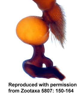 speciesimage