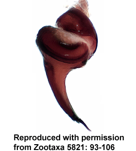 speciesimage