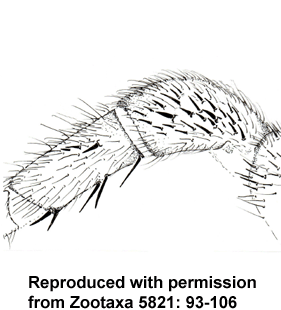speciesimage