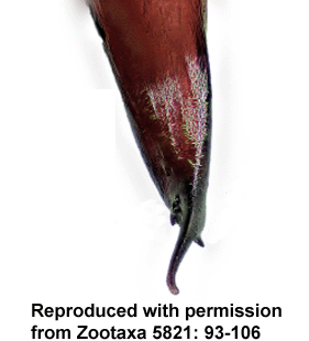speciesimage