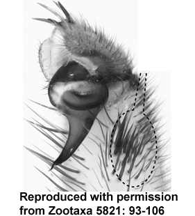speciesimage