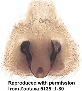 speciesimage