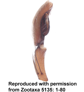 speciesimage