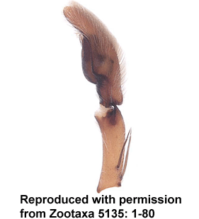 speciesimage