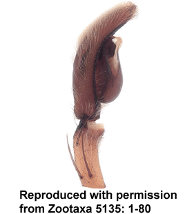 speciesimage