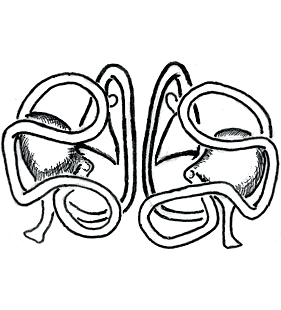 species