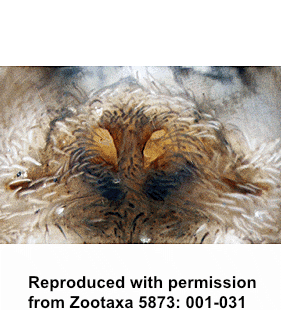 speciesimage