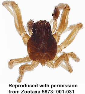speciesimage