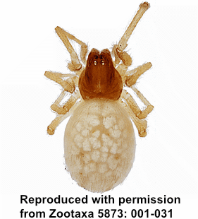 speciesimage