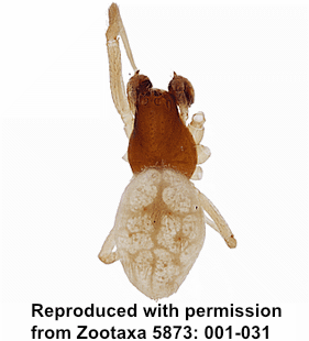 speciesimage