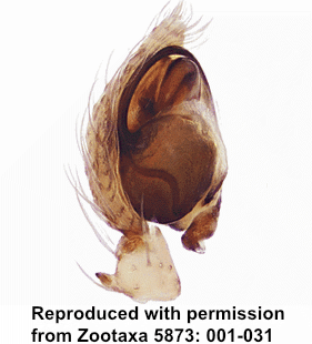 speciesimage