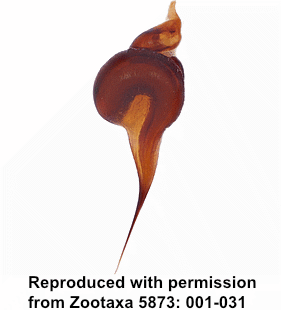 speciesimage