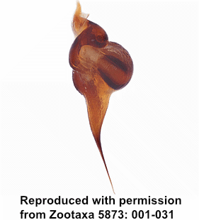 speciesimage