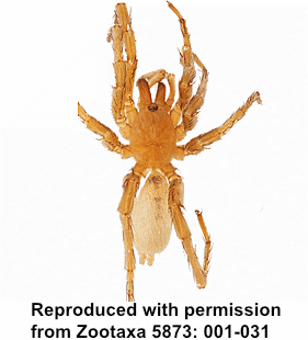 speciesimage