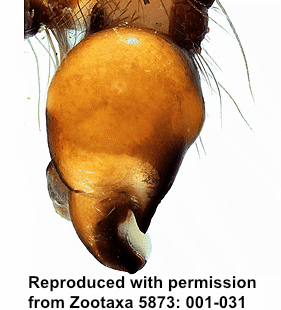 speciesimage