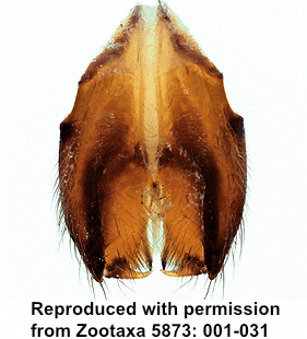 speciesimage