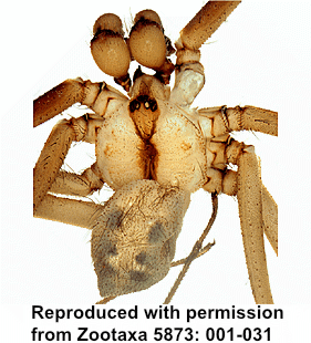 speciesimage