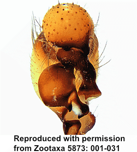 speciesimage