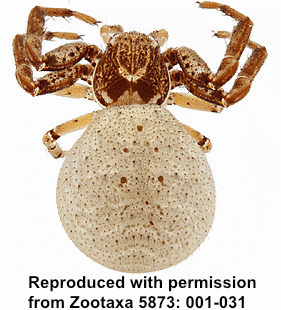 speciesimage