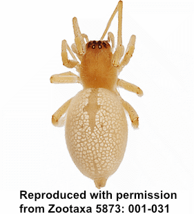 speciesimage