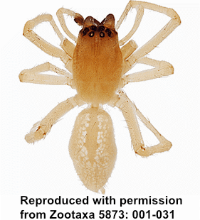 speciesimage