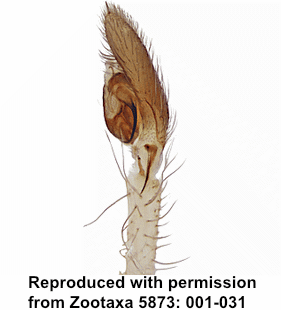 speciesimage