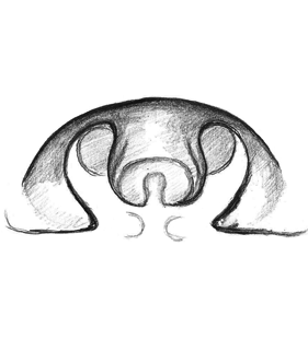 speciesimage