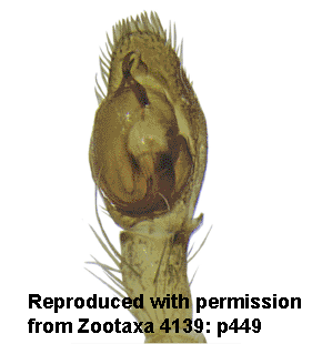 speciesimage