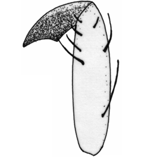 speciesimage