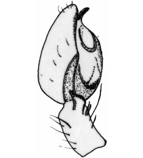 speciesimage