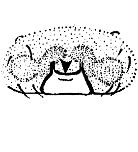 speciesimage