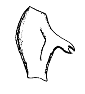 speciesimage