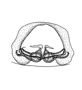 species