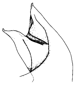 speciesimage