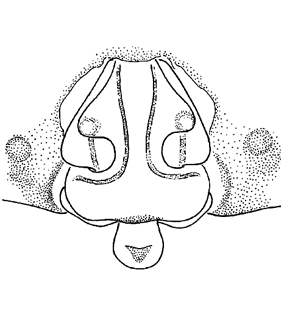 speciesimage