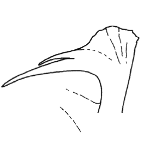 speciesimage