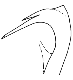 speciesimage