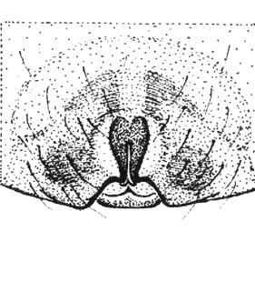 speciesimage
