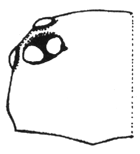 speciesimage
