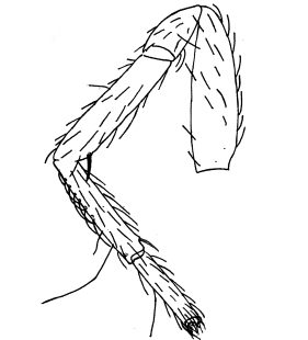 speciesimage