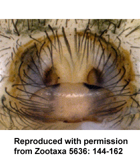 speciesimage