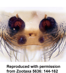 speciesimage