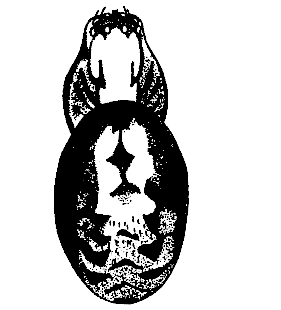 speciesimage