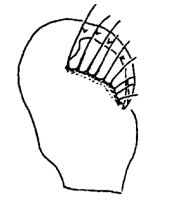 species