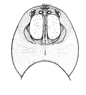 speciesimage