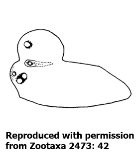 speciesimage