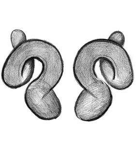speciesimage